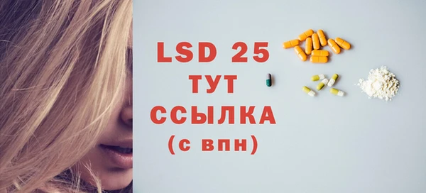 стафф Новодвинск