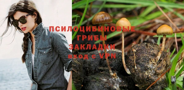 не бодяженный Алексин
