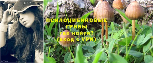 каннабис Алексеевка