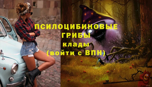 не бодяженный Алексин