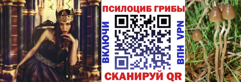 Псилоцибиновые грибы прущие грибы гидра онион Спас-Клепики